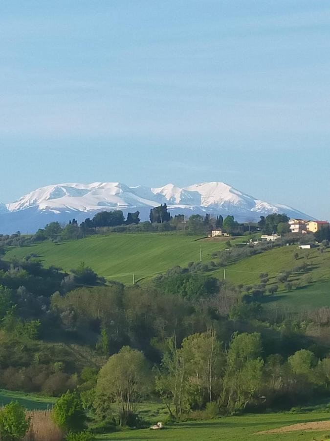 La Casa Del Nonno Bed and Breakfast Spoltore Buitenkant foto