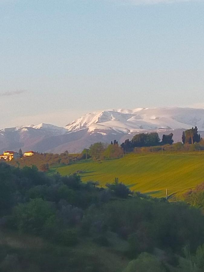 La Casa Del Nonno Bed and Breakfast Spoltore Buitenkant foto