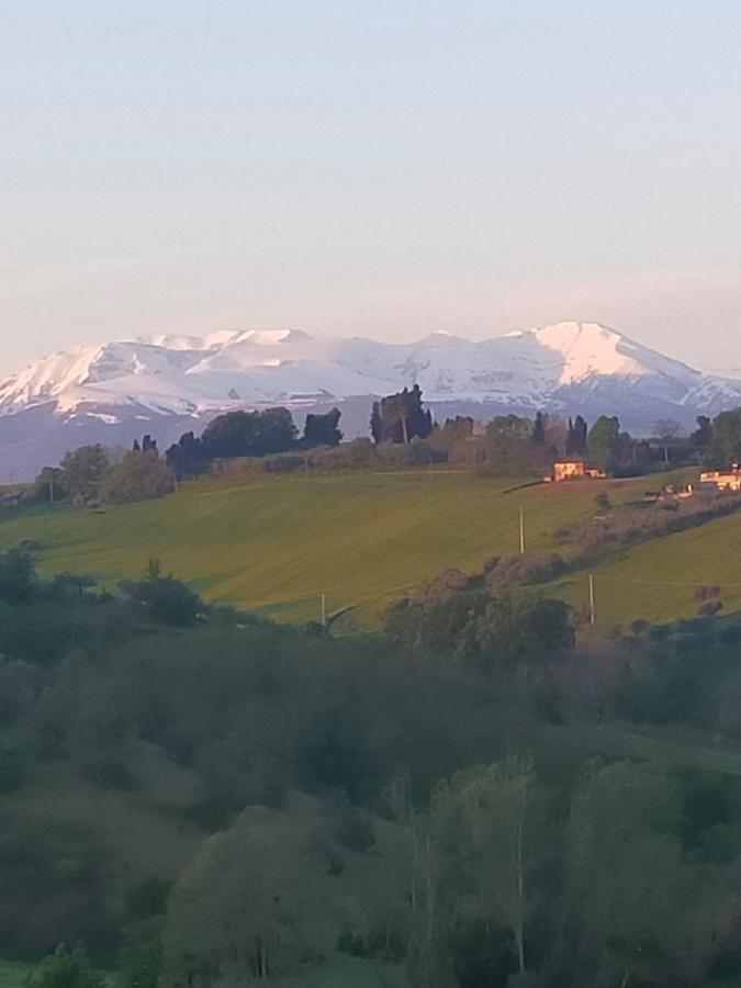 La Casa Del Nonno Bed and Breakfast Spoltore Buitenkant foto